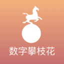 4年缺席113场，被三次交易却拿了冠军 如今仍是核心 谁有他幸运？