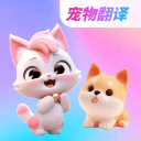 >星空综合app官网登录客户端